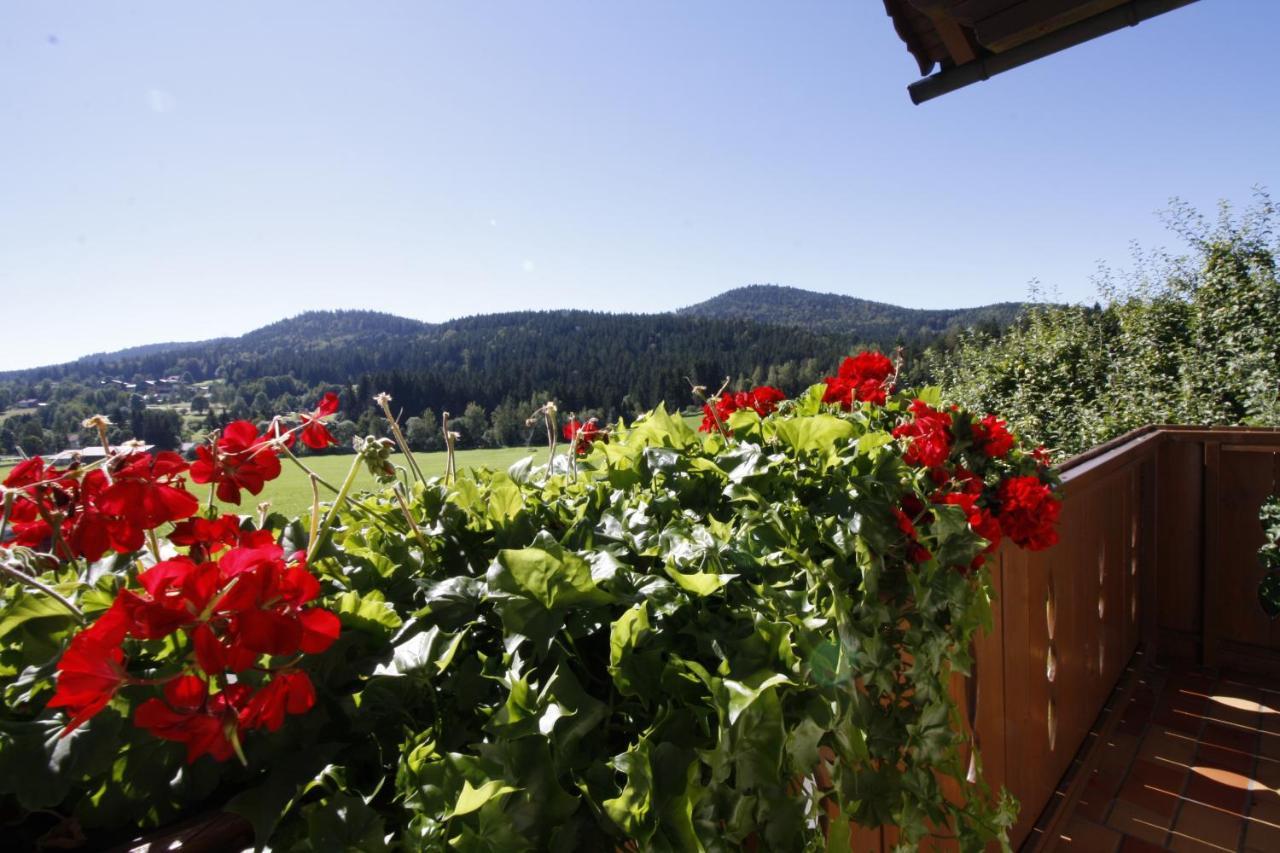 Pension Schuasterhof Bodenmais Dış mekan fotoğraf